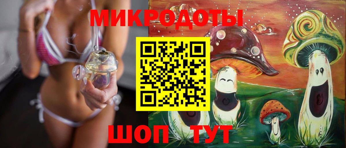 Галлюциногенные грибы Psilocybe  Каменск-Уральский  Галлюциногенные грибы мицелий 